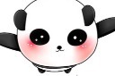 熊猫系列表情图图片