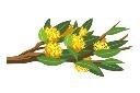 桂花树枝立秋元素