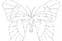蝴蝶植物雕刻图