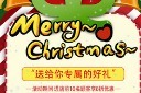 时尚圣诞信息宣传海报模板