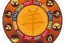 春节十二生肖素材