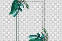 立春树叶边框插画模板
