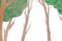 立春树林插图