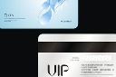 VIP�����ģ��