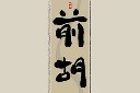 国医节中医中药书法字模板