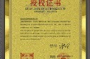 金色磨砂金属授权证书模板