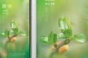 创意二十四节气春分手机壁纸海报模板