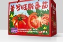 手绘小番茄包装