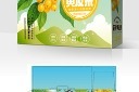 黄皮果礼盒