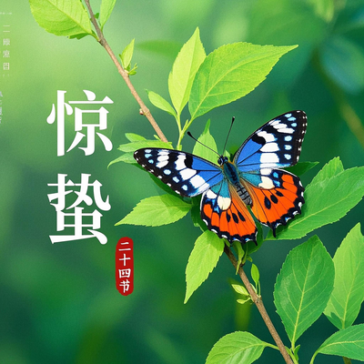 Ȼ羪ݽ⺣