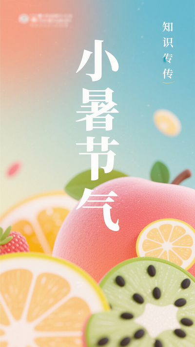 夏日小暑节气海报
