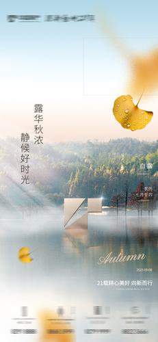 ��¶����