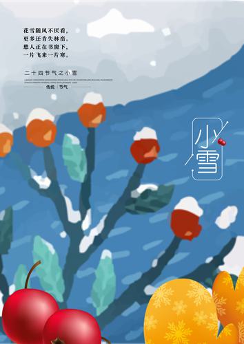 ��ʮ�Ľ���֮Сѩ�������