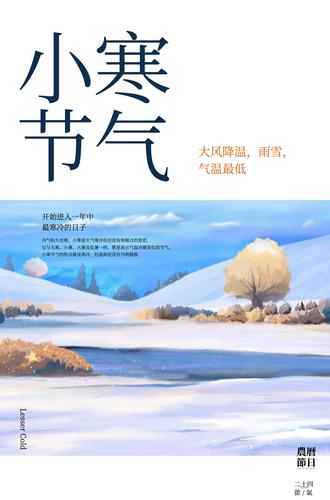 С����������