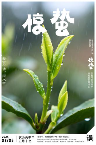 ԭ�����ݽ����������