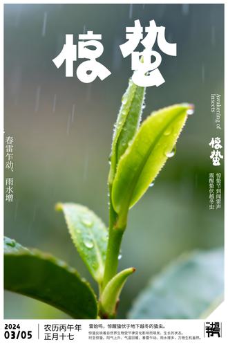 ԭ�����ݽ�������