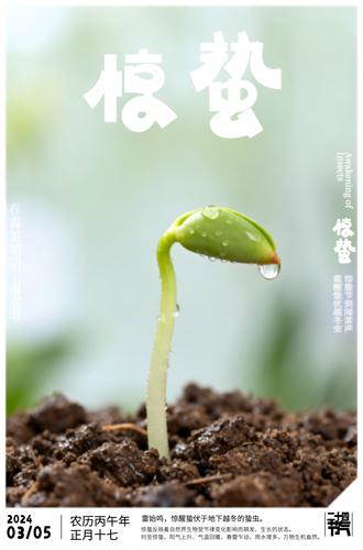 ԭ�����ݺ������