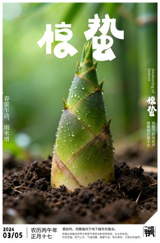 ԭ�����ݽ���������ʽ���