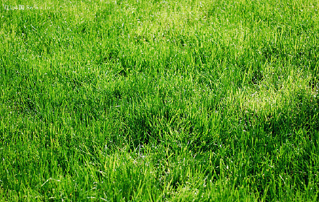 �̲ݵ�+����