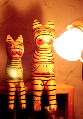 ��ͨ�ϻ�ľ��