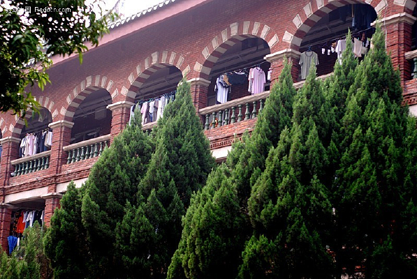 ���Ŵ�ѧ����