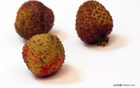 ������֦