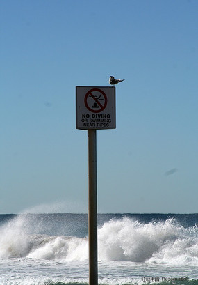 ����Ϥ�ả��