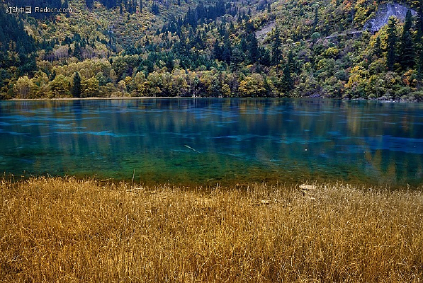 ������կˮ