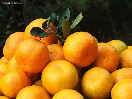 ���Ӹ���