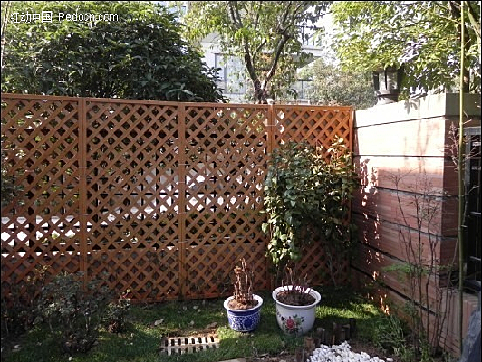 ����ͥԺľ��