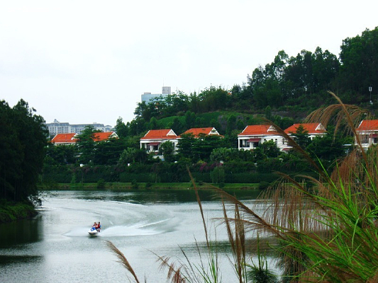 ��Ȼ����