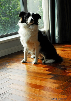 ����С��