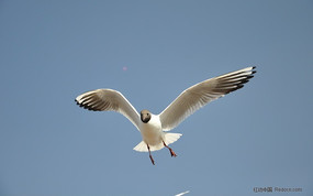 ��Ÿչ�����