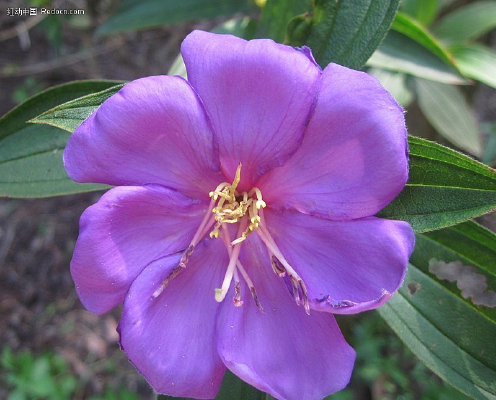 �ϵ�����