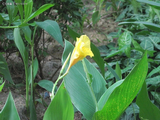 ������˽�