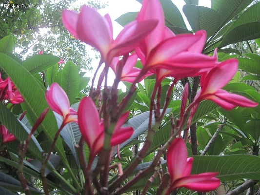 �޺켦����