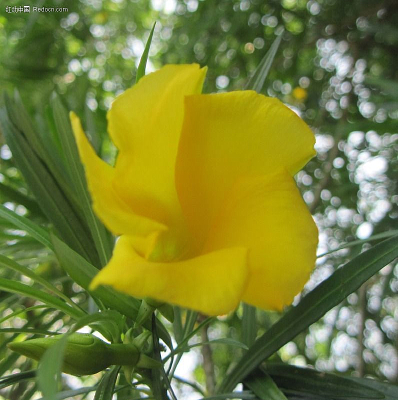 ��С���Ȼ�