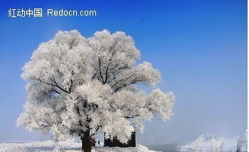 ������ڡͼƬ