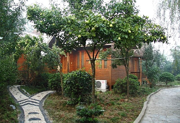 ���ձ���