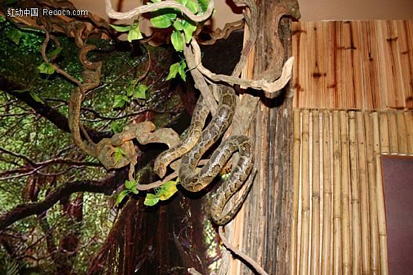 �ȴ�������