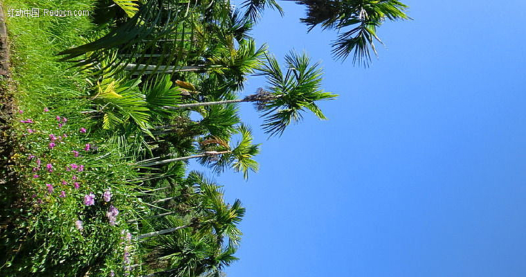 ���ȴ����