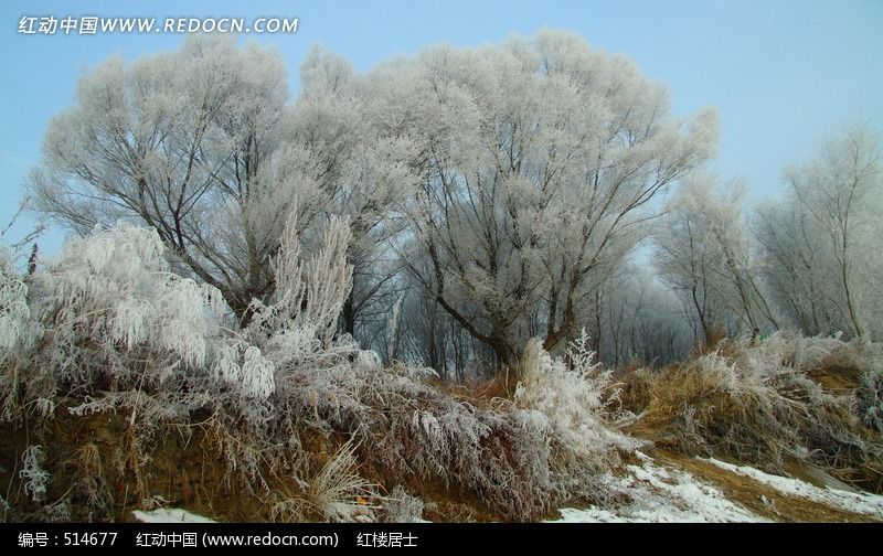 ������ڡͼƬ