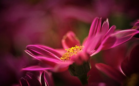 �ջ����޾�