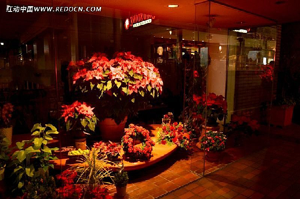 ���ſ�ֲ��