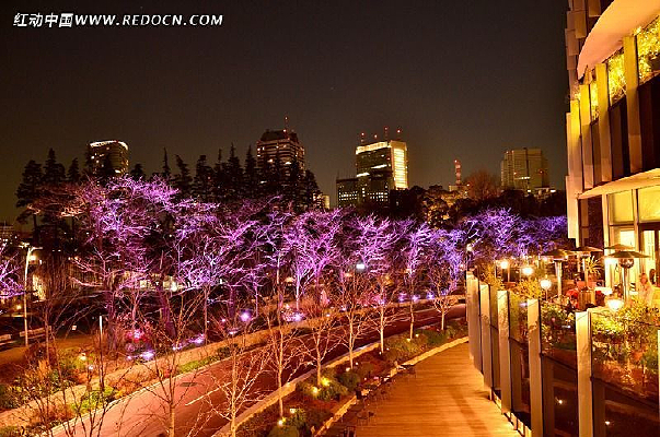 Ư����ҹ��