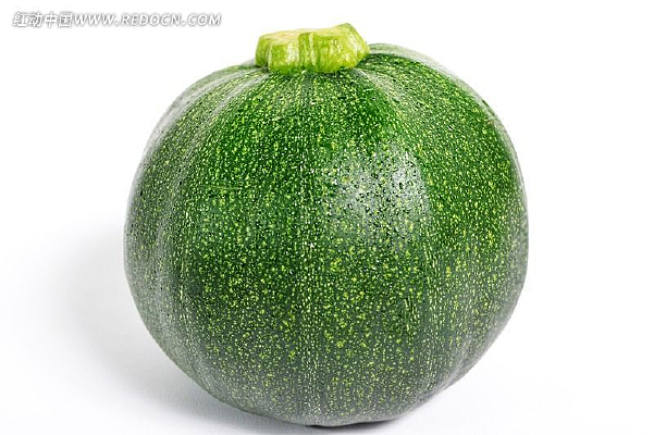 ����С�Ϲ�