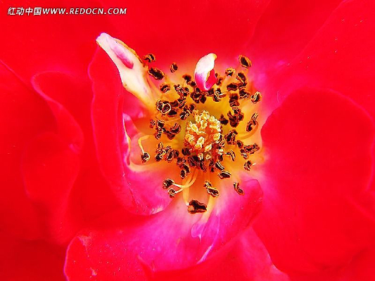 ΢���¼�����