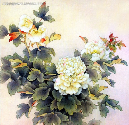 ĵ����װ�λ�