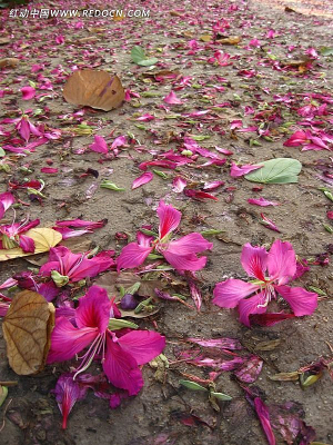 �������Ͼ���