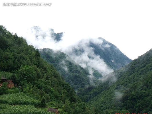 �峿�ּ�����